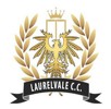 Laurelvale 3rd XI